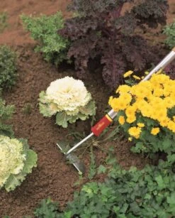 Wolf-Garten Wolf Garten Schoffel GS-M14 14 Cm -Stanle Gardena Winkel 1f8ee78c4ff958d4b5c0bced958a954e