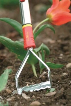 Wolf-Garten Wolf Garten Onkruidkoelie RF-M 15 Cm 9 Wolf-Garten Wolf Garten Onkruidkoelie RF-M 15 Cm -Stanle Gardena Winkel 81b639f54acc0cd99ebb2a89c46f12dd