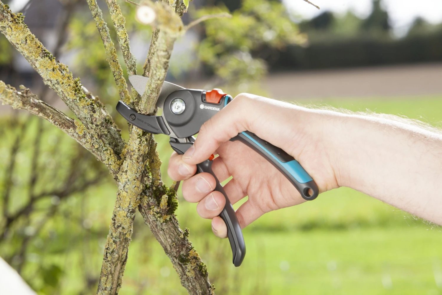 Gardena Aambeeld Snoeischaar Comfort 6 Gardena Aambeeld Snoeischaar Comfort - Afbeelding 4