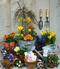 De Wit Plantschepje Klein X-treme Essen Handvat 140mm -Stanle Gardena Winkel IMG 0570