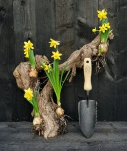 De Wit Plantschepje Klein X-treme Essen Handvat 140mm -Stanle Gardena Winkel IMG 0744