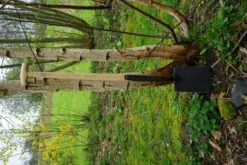 De Wit Shark Tine Spade Met Zwanehals Essen Steel 750mm -Stanle Gardena Winkel IMG 3905