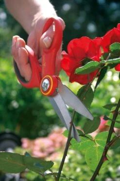 Wolf-Garten Wolf Garten Tuinschaar RA-X -Stanle Gardena Winkel Wolf20Bloemenschaar20Papegaaibek20RA X1