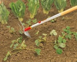 Wolf-Garten Wolf Garten Dubbelhak IM-M 7 Cm 7 Wolf-Garten Wolf Garten Dubbelhak IM-M 7 Cm -Stanle Gardena Winkel Wolf20Dubbelhak20iM M