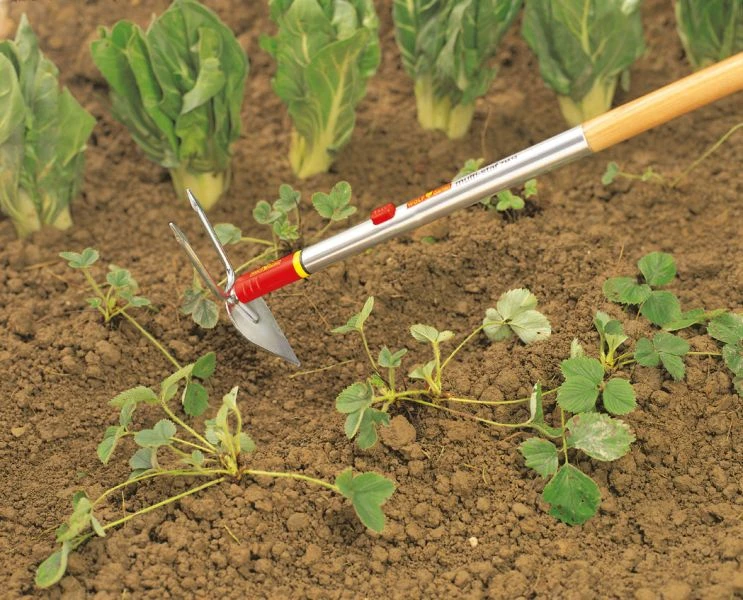 Wolf-Garten Wolf Garten Dubbelhak IM-M 7 Cm 5 Wolf-Garten Wolf Garten Dubbelhak IM-M 7 Cm - Afbeelding 3