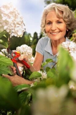 Wolf-Garten Wolf Garten Snoeischaar RR 4000 -Stanle Gardena Winkel Wolf20Snoeischaar20RR2040002