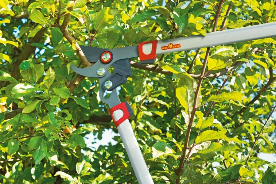 Wolf-Garten Wolf Garten Takkenschaar Power Cut RR 750 5 Wolf-Garten Wolf Garten Takkenschaar Power Cut RR 750 - Afbeelding 3