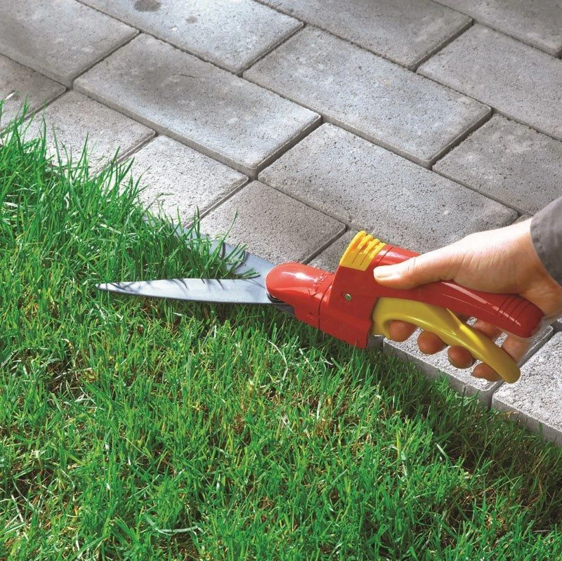 Wolf-Garten Wolf Garten Grasschaar Classic RJ-ZL 6 Wolf-Garten Wolf Garten Grasschaar Classic RJ-ZL - Afbeelding 4