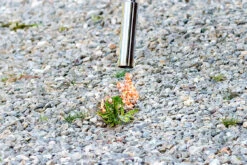 Gloria Thermoflamm Bio Classic PLUS Inclusief 1 Gasflesje 12 Gloria Thermoflamm Bio Classic PLUS Inclusief 1 Gasflesje -Stanle Gardena Winkel csm Thermoflamm bio Classic Plus Live 4 3bd1dc5fe9