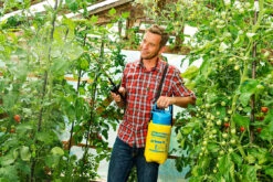 Gloria Drukspuit Prima 3 - NBR 3 Liter -Stanle Gardena Winkel csm prima 3 Live 3 66e1e9c00b