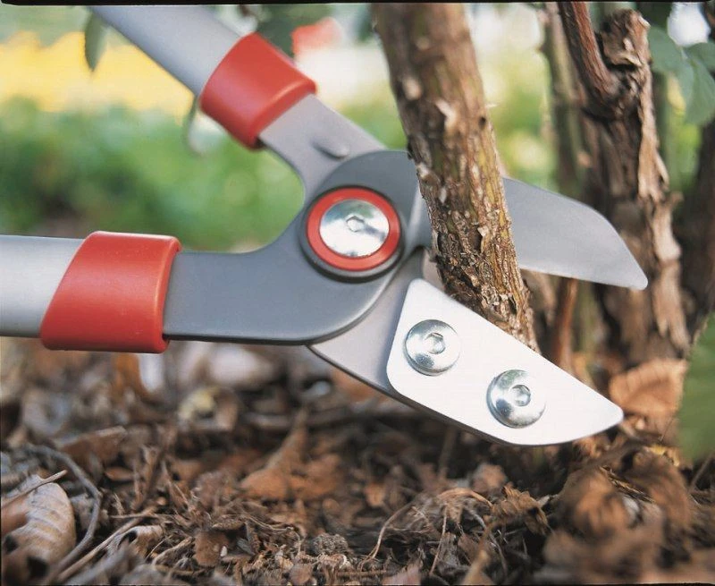 Wolf-Garten Wolf Garten Takkenschaar Power Cut RS 650 5 Wolf-Garten Wolf Garten Takkenschaar Power Cut RS 650 - Afbeelding 3