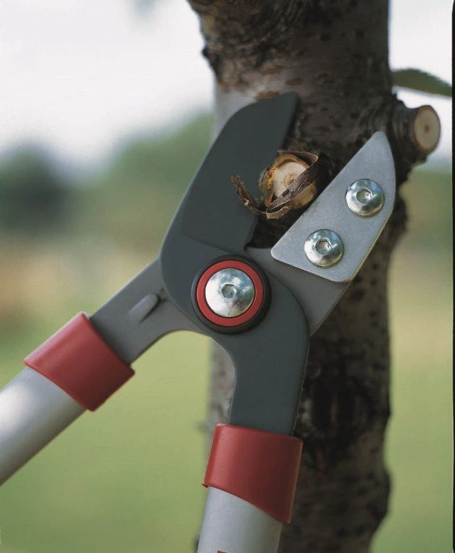 Wolf-Garten Wolf Garten Takkenschaar Power Cut RS 650 4 Wolf-Garten Wolf Garten Takkenschaar Power Cut RS 650 - Afbeelding 2