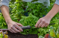 Gardena Basisapparaat 1000 10 Gardena Basisapparaat 1000 -Stanle Gardena Winkel gardena basisapparaat 3