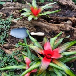 De Wit Tuinscoop Essen Handvat 140mm -Stanle Gardena Winkel potting scoop dewit 2941