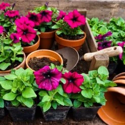 De Wit Tuinscoop Essen Handvat 140mm -Stanle Gardena Winkel scoop 2942