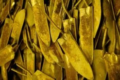 De Wit Verplantschepje X-treme Essen Handvat 140mm -Stanle Gardena Winkel transplanttrowels dewit Custom