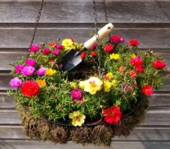 De Wit Plantschepje Klein X-treme Essen Handvat 140mm -Stanle Gardena Winkel trowel dewit small 3011